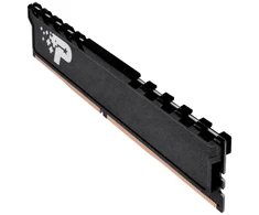 RAM Patriot Premium Juodas DDR4 32GB 3200MHz šilumos paskirstytojas