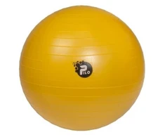 Reha Fund ABS PILO-1045 REHAFUND Rehabilitation Ball