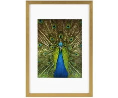 Rėmelis - Goldbuch GB 900815 Pino 20x30/15x20 Medinis Auksinis
