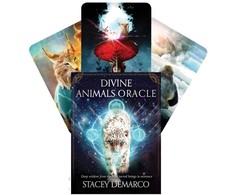 Rockpool Divine Animals Oracle Kortos