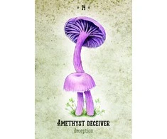 Rockpool Publishing Mushroom Spirit Oracle Kortos