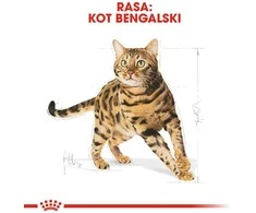 Royal Canin Bengal Adult 2kg