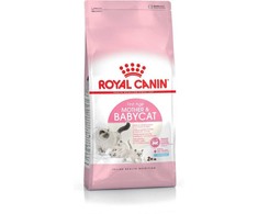 Sausas Kačių Maistas - Royal Canin Mama Ir Katinukas 2kg