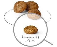 Sausas Šunų Maistas - ROYAL CANIN Suaugusiems X-Mini SHN 3kg