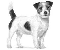 ROYAL CANIN Gastrointestinal Low Fat Small VHN - sausas šunų ėdalas - 3,5kg