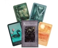 Schiffer Publishing Inspirations For Survivors Kortos