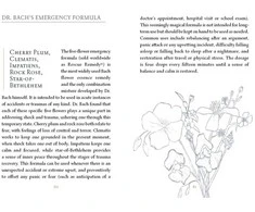 Schiffer Publishing Listening To Flowers Oracle Kortos