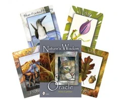 Schiffer Publishing Natures Wisdom Oracle Kortos
