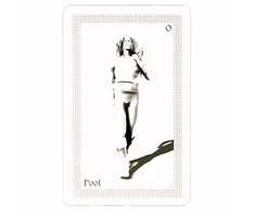 Schiffer Publishing ShadowFox Tarot Kortos