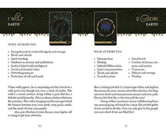Schiffer Publishing The Wild Elemental Oracle Kortos