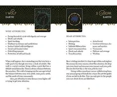 Schiffer Publishing The Wild Elemental Oracle Kortos