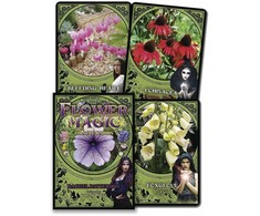 Solarus Flower Magic Oracle Kortos