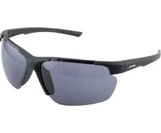 ALPINA DEFEY HR sunglasses, colour: Juodas Matinis, lenses: juodas, Cat. 3