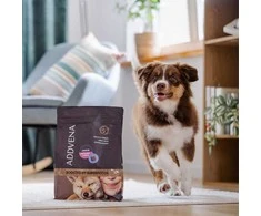 Šunų maistas - ADDVENA Junior Medium/Large jautiena 28.1% Protein Grain-Free 10kg