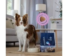 Šunų maistas - ADDVENA Power of Nature Adult Sensitive Medium/Large ėriena 10kg
