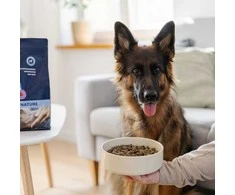 AD1 ADDVENA GAMTOS POWER OF NATURE pašaras vidutinių ir didelių veislių šunims, 10 kg