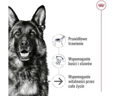 ROYAL CANIN SHN Maxi Ageing Loaf konservas šunims, 410 g
