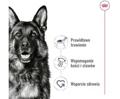 ROYAL CANIN SHN Maxi sausas sausas maistas suaugusioms katėms, 410 g