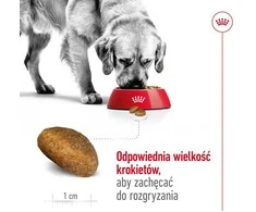 Royal Canin Maxi Adult 15kg