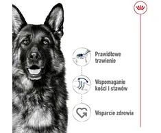 Royal Canin Maxi Adult 15kg