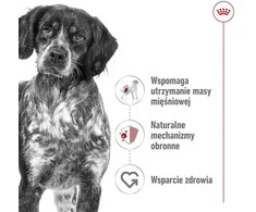 ROYAL CANIN SHN konservuotas sausas maistas suaugusiems vidutinio dydžio šunims, 410 g