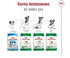 Šunų Maistas - Royal Canin Suaugusiųjų Mini S 4kg