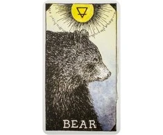 Taro Kortos The Wild Unknown Pocket Animal Spirit Harper One