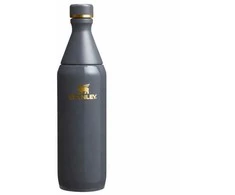 Stanley All Day Slim termo gertuvė, 600 ml, blizgi, prieblandos blizgesys