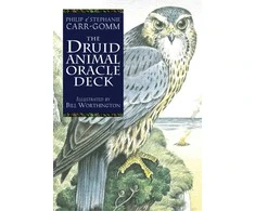 The Celtic Tree Oracle kortos Welbeck Publishing