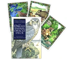 The Celtic Tree Oracle kortos Welbeck Publishing