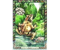 The Celtic Tree Oracle kortos Welbeck Publishing