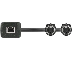Turtle Av Turtle Dual XLR Input - two-channel analogue XLR to Dante digital audio adapter