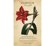 US Games Systems Botanical Inspirations Kortos