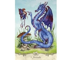 US Games Systems Fairy Wisdom Oracle Kortos Ir Knyga