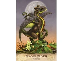 US Games Systems Field Guide To Garden Dragons Taro Kortos