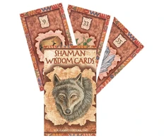 US Games Systems Shaman Wisdom Kortos