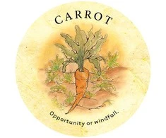US Games Systems Tea Leaf Fortune Kortos