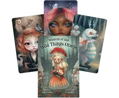 US Games Systems Wisdom Of The Wild Things Orakulo Kortos