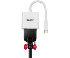 USB-C Į VGA Adapteris - Lindy 1920 × 1 200 60 Hz