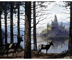 Užrašinė Kietu Viršeliu - Harry Potter: Hogwarts Insight Editions