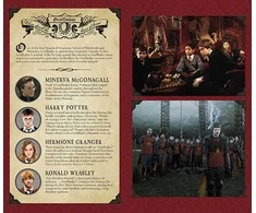 Dėlionė Užrašinė Kietu Viršeliu - Harry Potter: Gryffindor Insight Editions