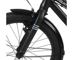 Huffy Batch Alu 20” bike, matte juodas (B374355W)