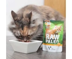 Vetexpert Drėgnas Kačių Maistas - RAW PALEO Kalakutiena 100 g