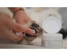 Vetexpert Gyvūnų Tepalas - VET EXPERT Pėdų Apsauga Šunims ir Katėms 75ml