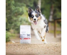 Vetexpert Šunų maistas - RAW PALEO Ultra Medium &amp; Large Puppy jautiena 2kg