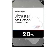 Sandisk Vidinis kietasis diskas - Western Digital Ultrastar 20TB SAS