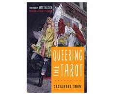 Weiser Books Queering The Tarot Knyga
