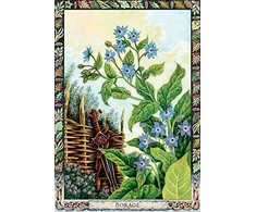 Welbeck Publishing The Druid Plant Oracle Kortos
