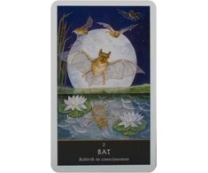 Welbeck Publishing The Witches Oracle Kortos