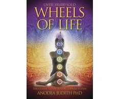 Wheels Of Life Knyga Llewellyn
